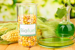 Queen Dart biofuel availability
