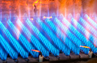 Queen Dart gas fired boilers